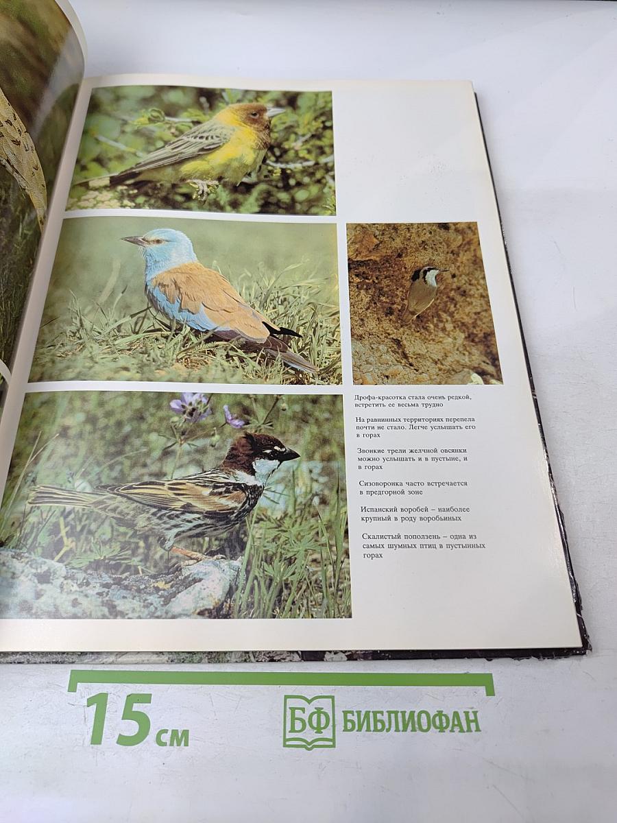 В Краю Семи Рек