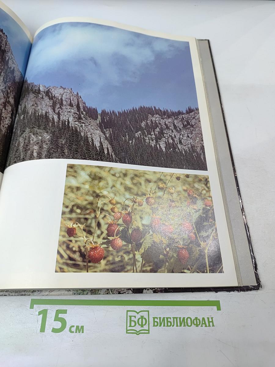 В Краю Семи Рек