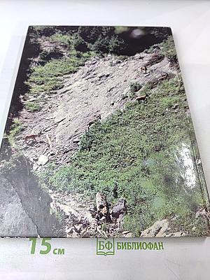 В Краю Семи Рек