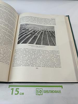 Всемирная история. Том I