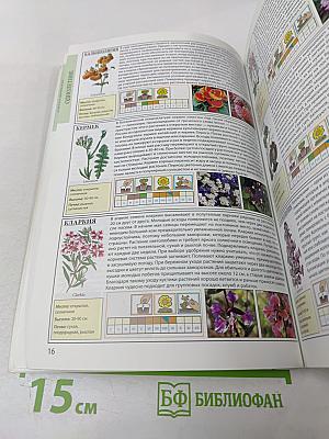 Все о садовых цветах