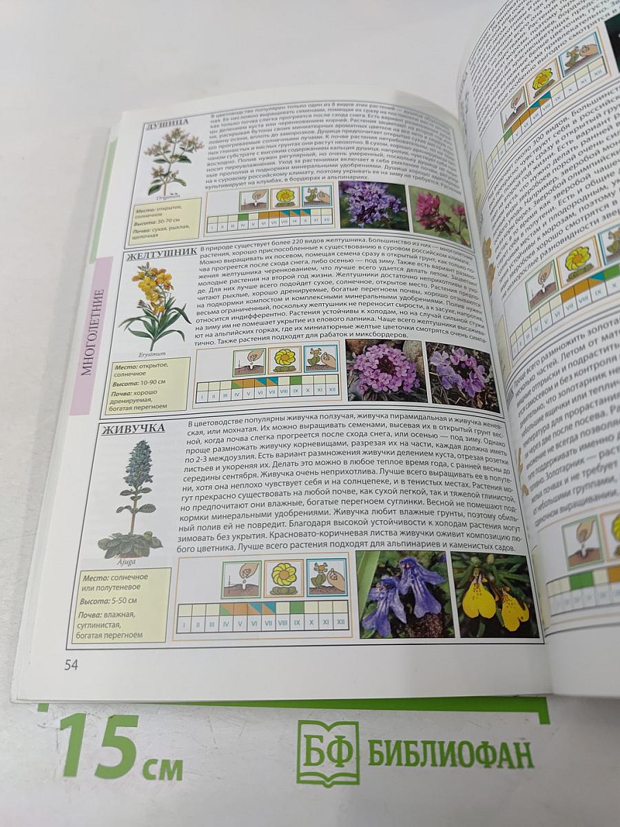 Все о садовых цветах