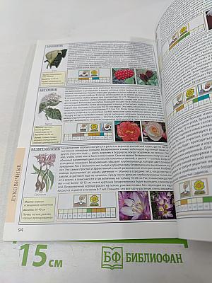 Все о садовых цветах