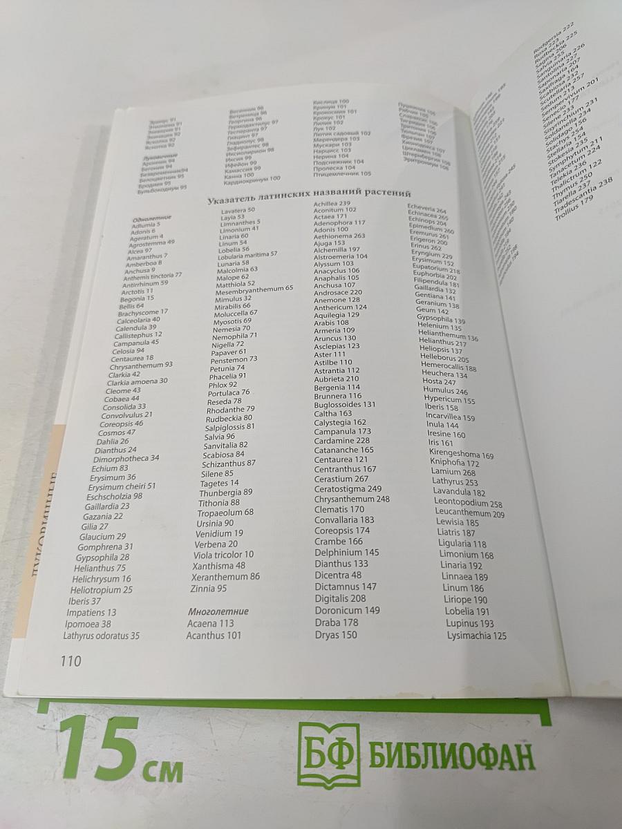 Все о садовых цветах