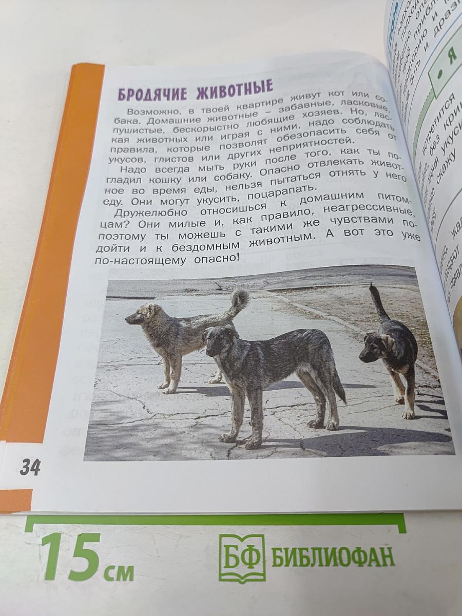 Азбука безопасной и здоровой жизни для 1 класса