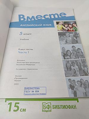 Team Up! Английский язык. 5 класс. Учебник. Часть 1