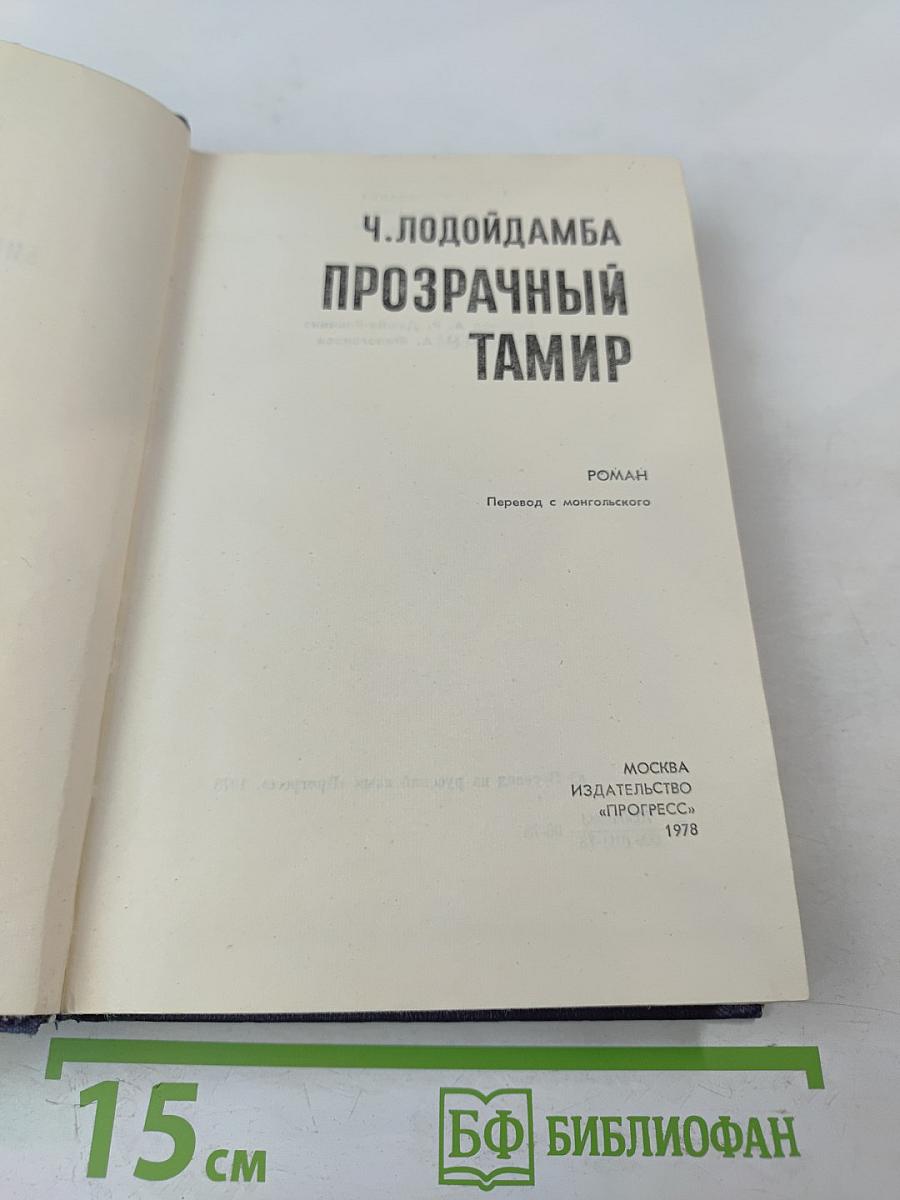 Прозрачный Тамир