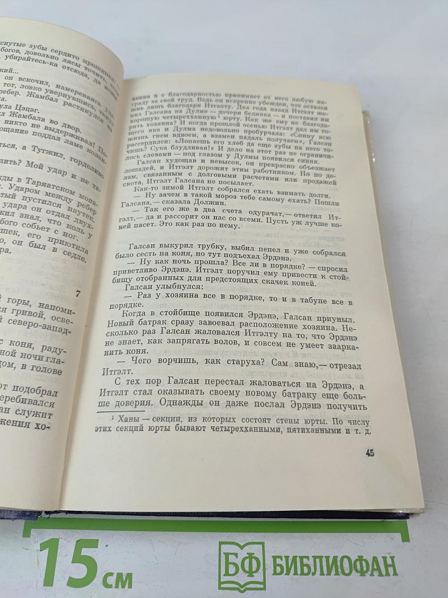 Прозрачный Тамир