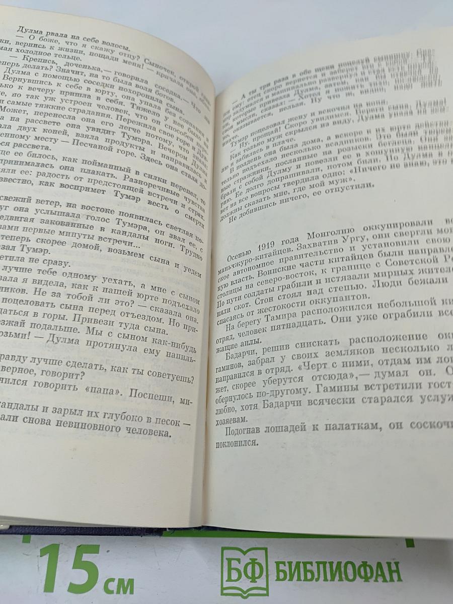 Прозрачный Тамир