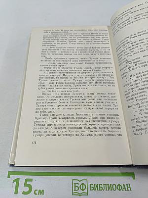 Прозрачный Тамир