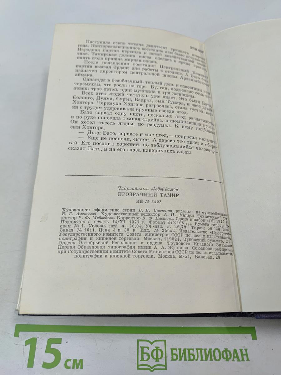 Прозрачный Тамир