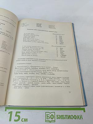 Чешский язык. Учебник для начинающих