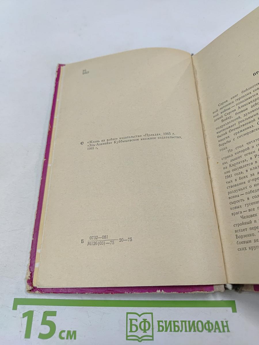 Огни Новороссийска