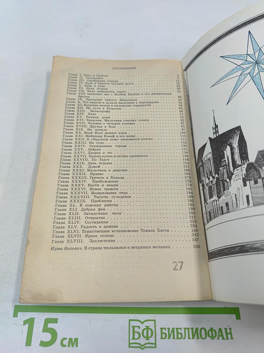 Серебряные коньки