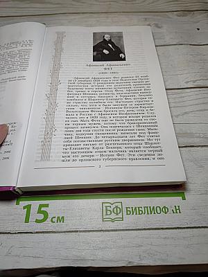 Литература. 10 класс. Часть 2