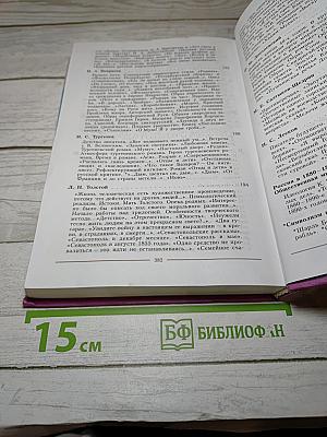 Литература. 10 класс. Часть 2