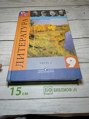 Литература. 9 класс. Учебник. Часть 2