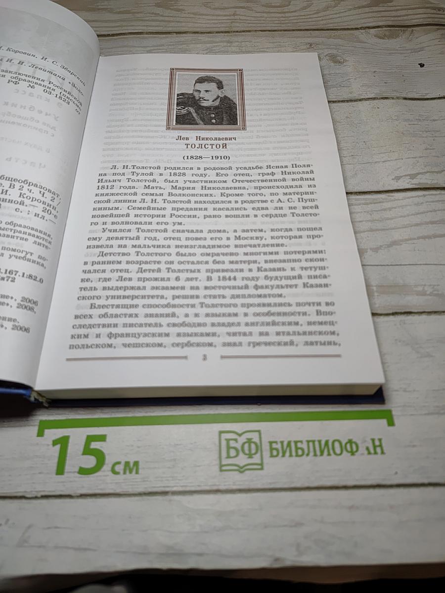 Литература. 9 класс. Учебник. Часть 2