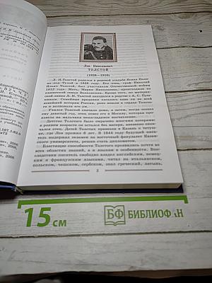 Литература. 9 класс. Учебник. Часть 2