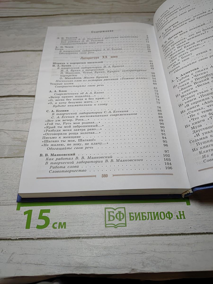 Литература. 9 класс. Учебник. Часть 2