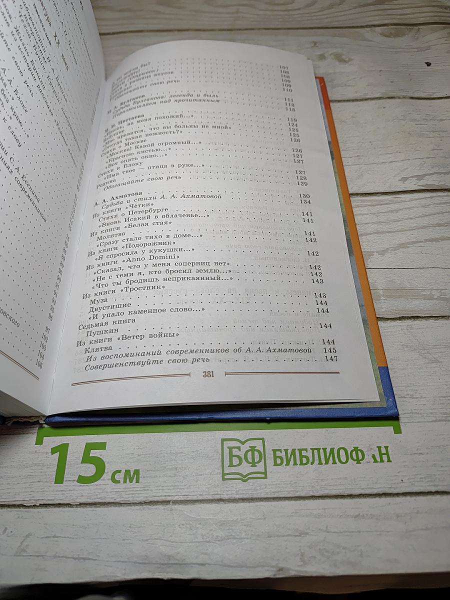 Литература. 9 класс. Учебник. Часть 2