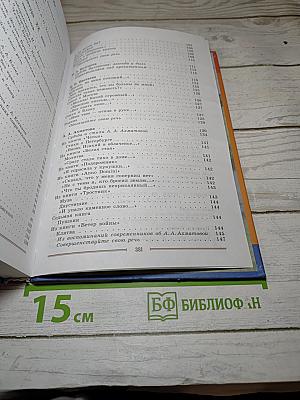 Литература. 9 класс. Учебник. Часть 2