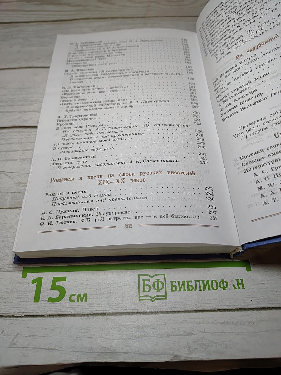 Литература. 9 класс. Учебник. Часть 2