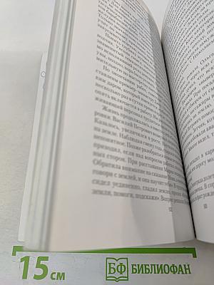 Литейный проспект