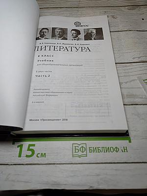 Литература. 8 класс. Часть 2