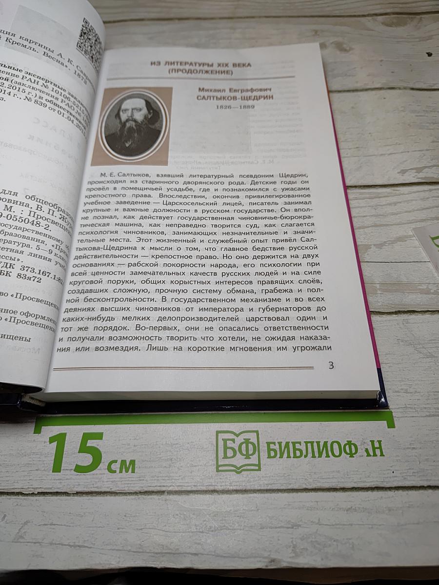 Литература. 8 класс. Часть 2