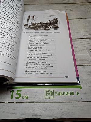 Литература. 8 класс. Часть 2