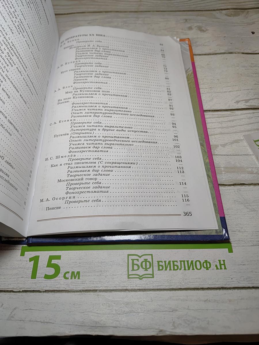 Литература. 8 класс. Часть 2
