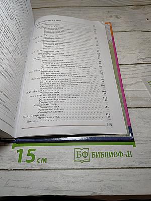 Литература. 8 класс. Часть 2