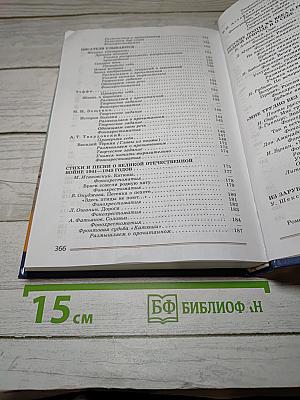 Литература. 8 класс. Часть 2