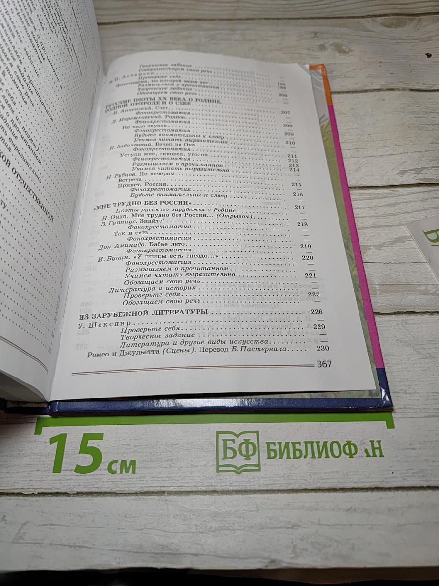 Литература. 8 класс. Часть 2
