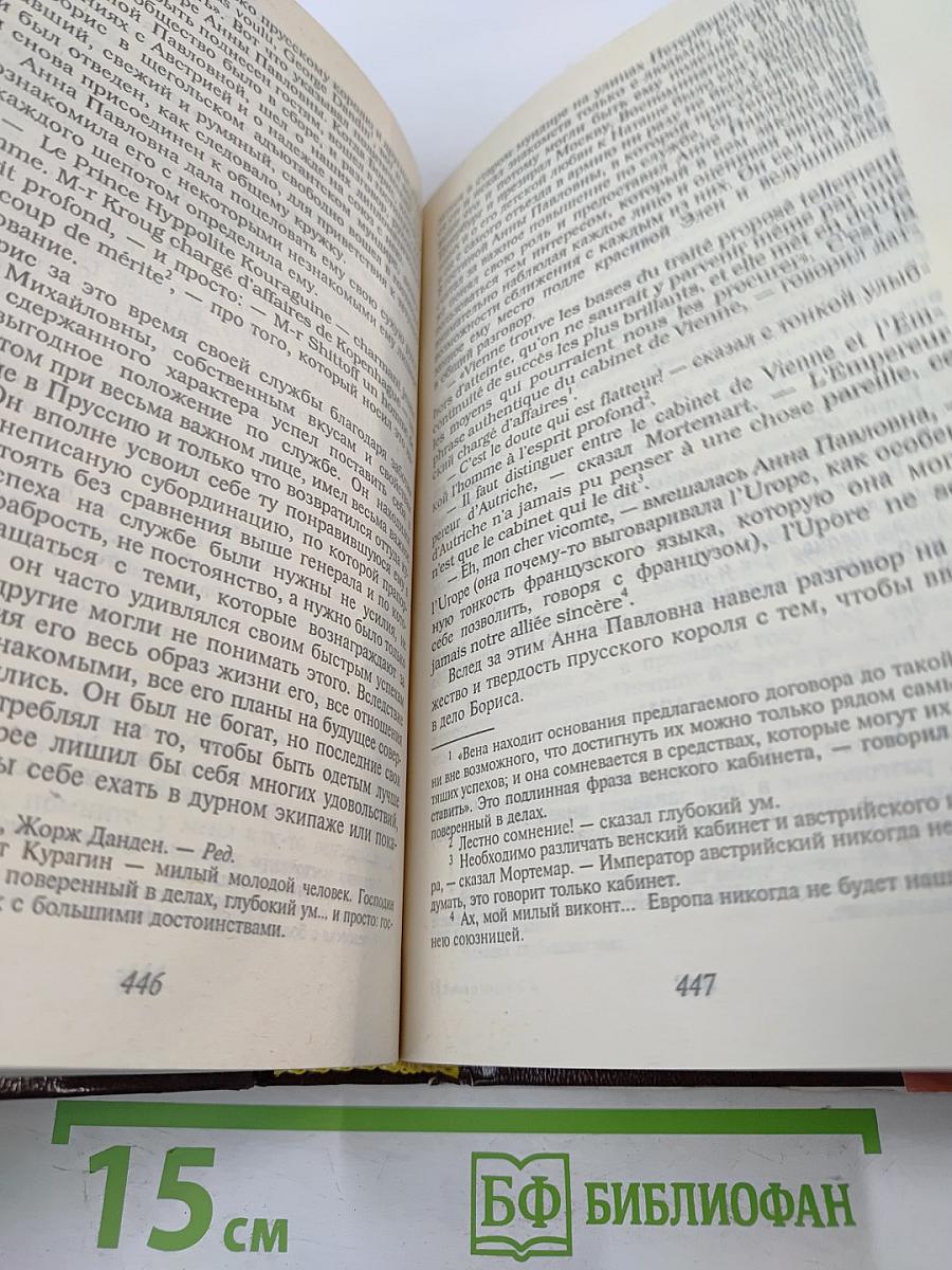 Война и мир. Книга 1. Тома 1, 2