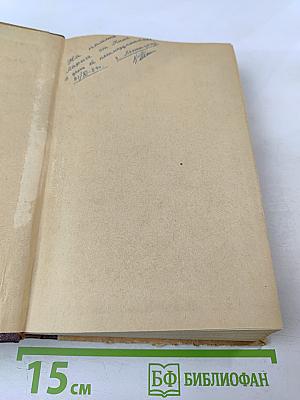 Улица младшего сына