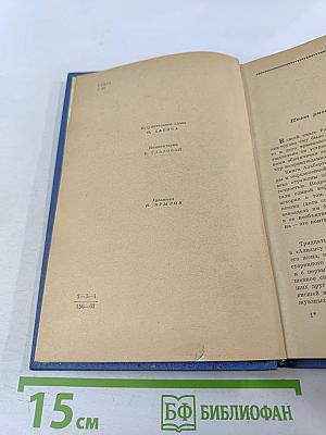 Затерянная роща