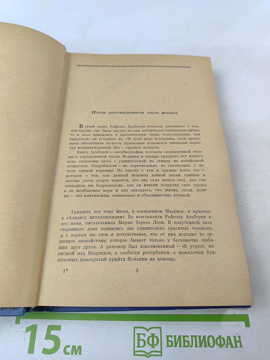 Затерянная роща