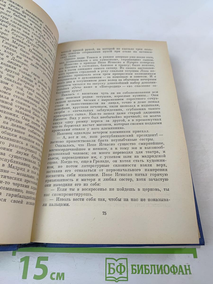 Затерянная роща