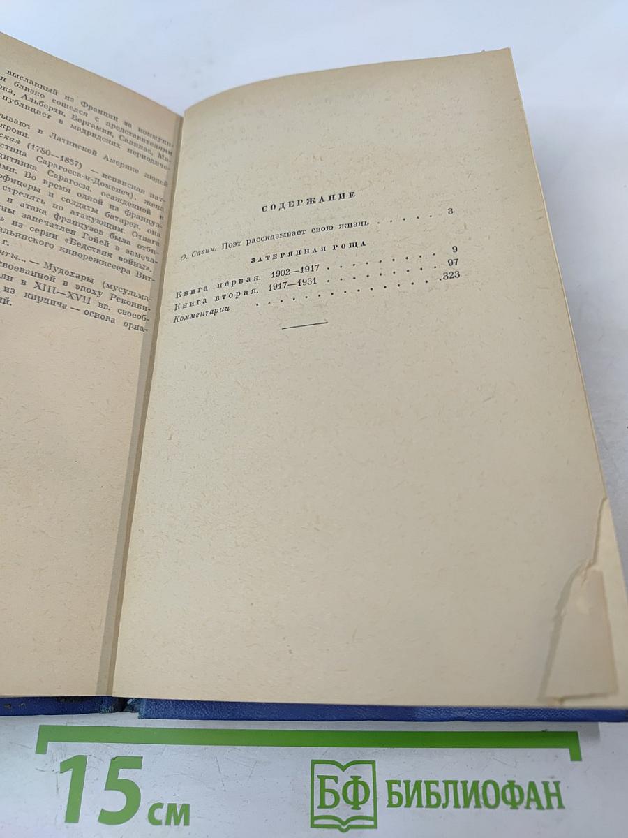 Затерянная роща