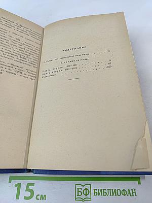 Затерянная роща