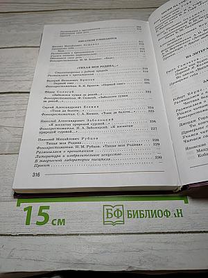 Литература. 7 класс. Часть 2