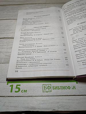 Литература. 7 класс. Учебник. Часть 2