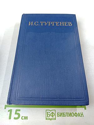 Сочинения. Том десятый. Повести и рассказы 1867-1870
