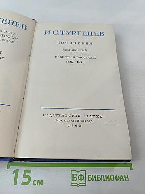 Сочинения. Том десятый. Повести и рассказы 1867-1870