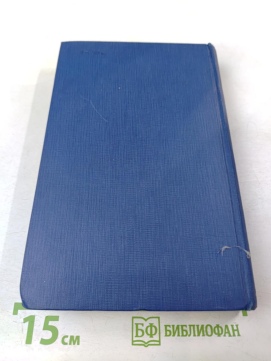 Сочинения. Том десятый. Повести и рассказы 1867-1870