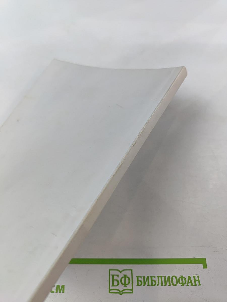 Будущее России в молодежном сознании