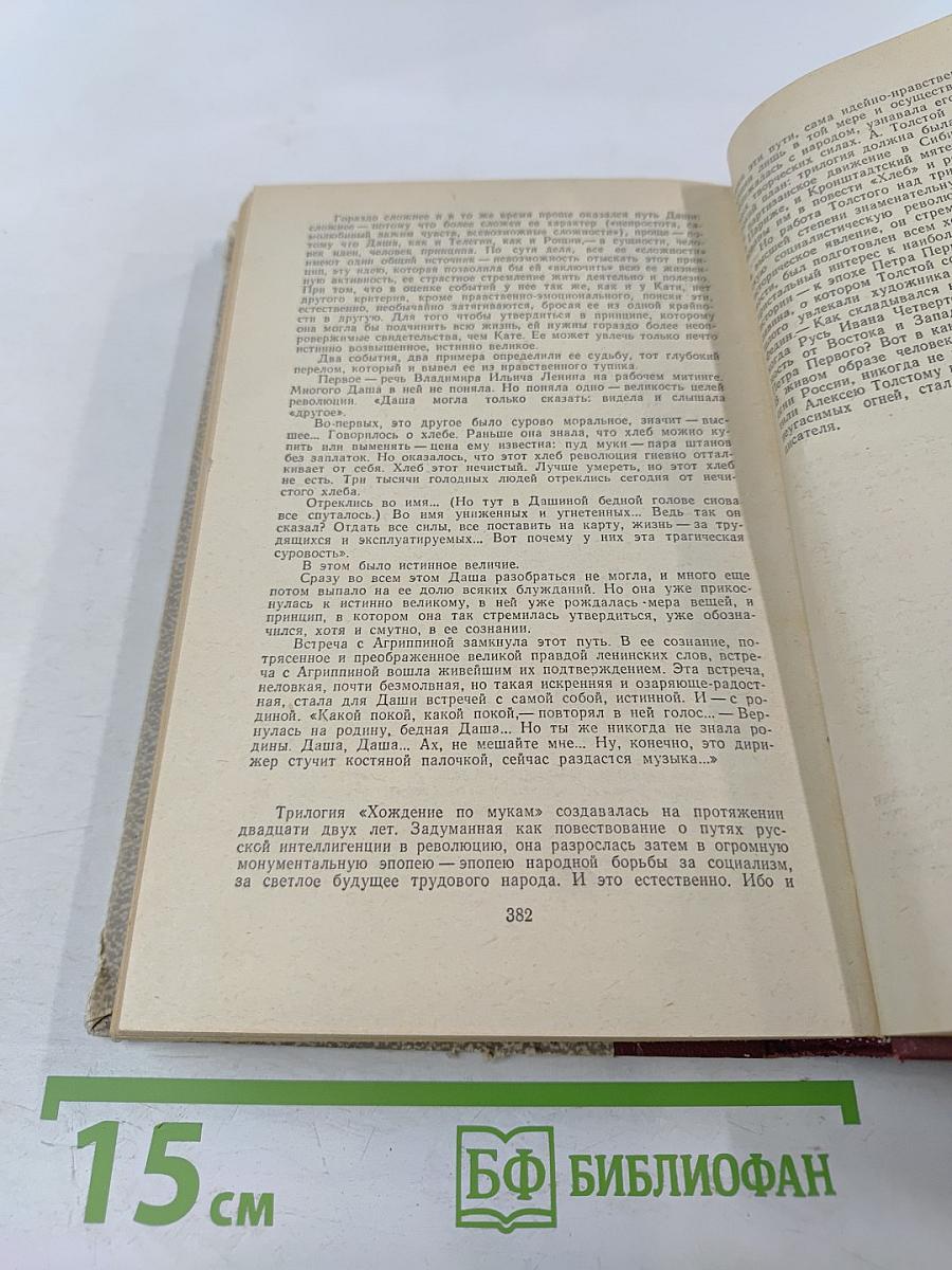 Хождение по мукам. Трилогия. Хмурое утро