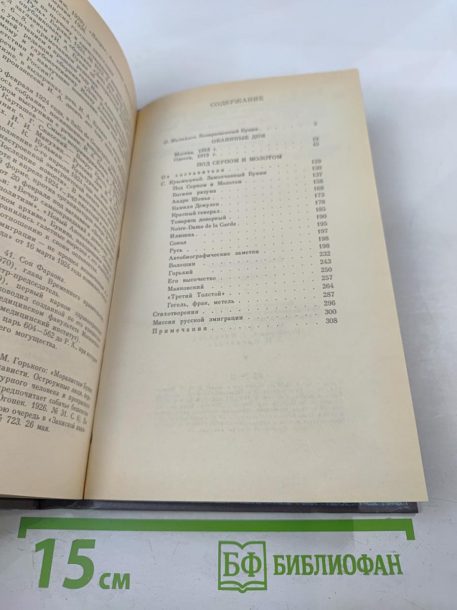 Окаянные дни